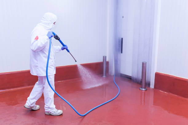 Best Dumpster Area Cleaning  in Seville, OH